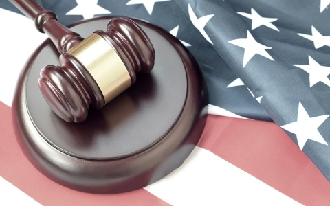 アジア限定:アメリカ代理出産・渡米不要・成功保証プラン