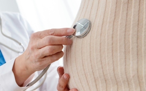 二重子宮でも妊娠できる？アメリカにおける代理出産の包括ガイド