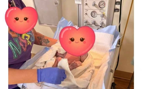 美しい新たな命の誕生を祝して